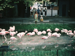 CRISTIANA - ZOO DI TORINO