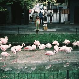 CRISTIANA - ZOO DI TORINO