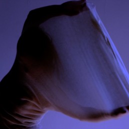 SOLOCOREOGRAFICO FILM NIGHT - Ph. Verena-Kutschera