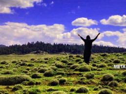 META di Paola Lesina e Marco Rezoagli - 1° Premio Assoluto - Sezione Mobile One Minute - LA DANZA IN 1 MINUTO VIII ED.