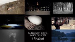 La danza in 1 minuto - Swans never die - I Finalisti