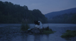 MA CIGNO (The almost dead swan) - Simone Rosset