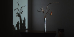 Absent Presence - Giorgia Ponticello - Still