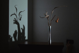 Absent Presence - Giorgia Ponticello - Still