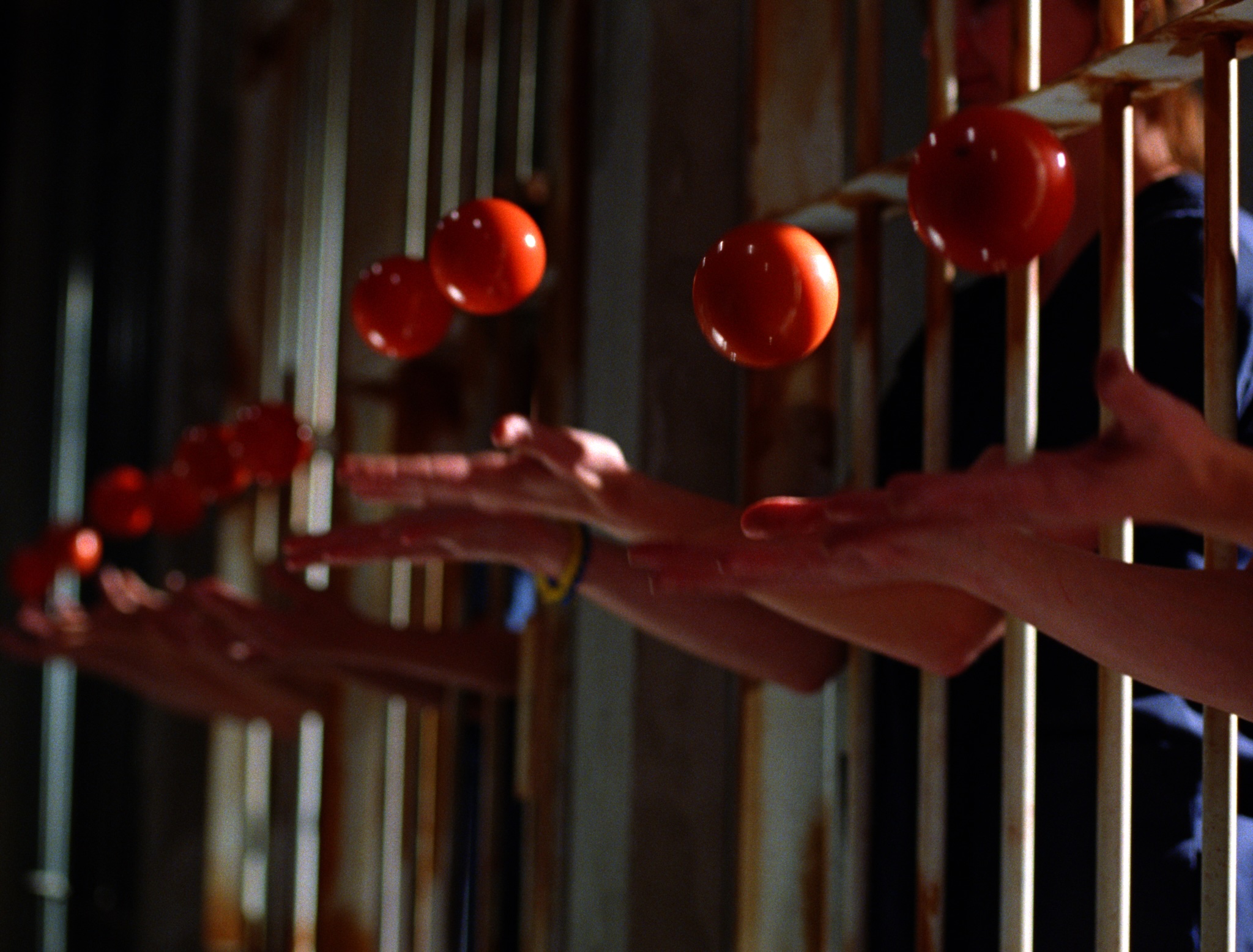 BOLD - Alla Kovgan, Miko Malkhasyan