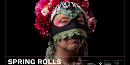 SPRING ROLLS - FESTIVAL DI PRIMAVERA
