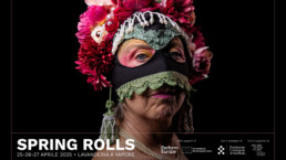 SPRING ROLLS - FESTIVAL DI PRIMAVERA