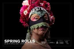 SPRING ROLLS - FESTIVAL DI PRIMAVERA