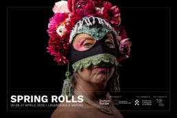 SPRING ROLLS - FESTIVAL DI PRIMAVERA