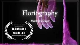 LDI1M 2025 - SPECIAL MENTION Z GENERATION - FLORIOGRAPHY