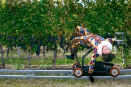 Grape Maestro - Ophelia Young