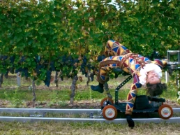 Grape Maestro - Ophelia Young