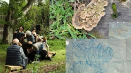 SPORES - Demestri+Lefeuvre