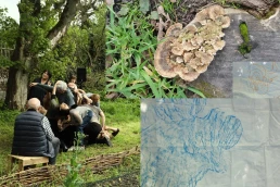 SPORES - Demestri+Lefeuvre