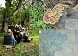 SPORES - Demestri+Lefeuvre