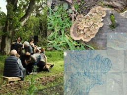 SPORES - Demestri+Lefeuvre