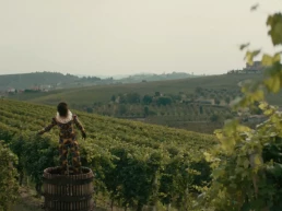 GRAPE MAESTRO