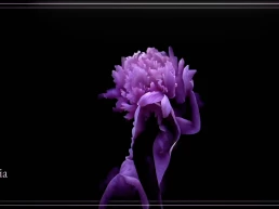Floriography - Dance in Flowers