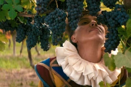 Grape Maestro - Alla Kovgan