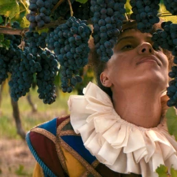Grape Maestro - Alla Kovgan